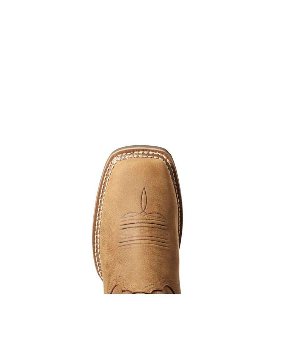 Cowboy Boots * | New Arrivals Ariat Ladies' Hybrid Rancher Waterproof