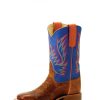 Cowboy Boots * | Crazy Deals Horse Power Kids' Havana Bullfrog W/Blue Top